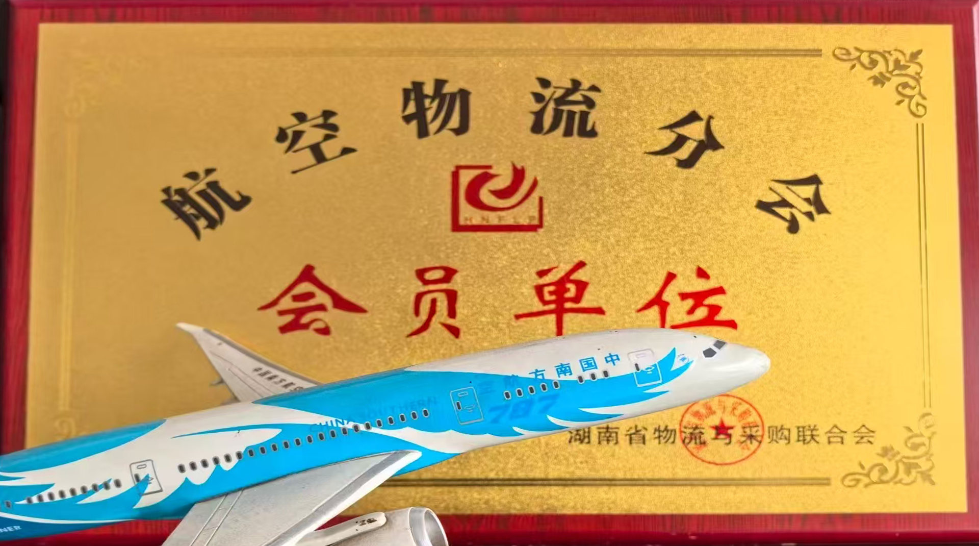 专业航空货运